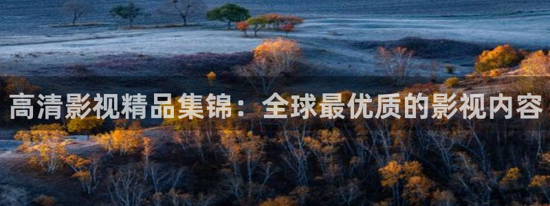 金牌电影在线观看：高清影视精品集锦：全球最优质的影视内容