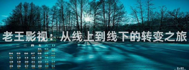 金牌销售电影：老王影视：从线上到线下的转变之旅