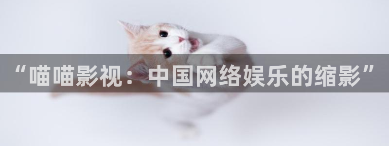 金牌 电影：“喵喵影视：中国网络娱乐的缩影”