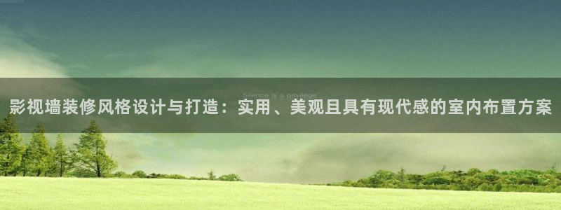 金牌影院看电视剧：影视墙装修风格设计与打造：实用、美观且具有现代感的室内布置方案