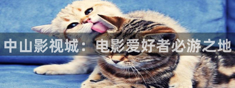 幸福到万家金牌影院免费在线观看：中山影视城：电影爱好者必游之地