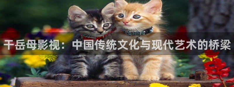 少年白马醉春风金牌影院：干岳母影视：中国传统文化与现代艺术的桥梁
