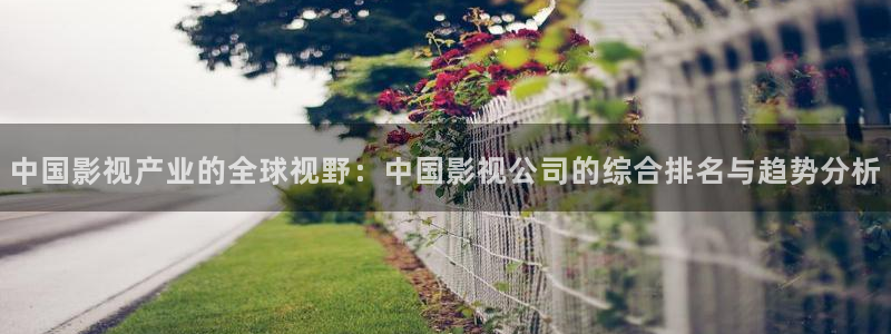 金牌影视下载安装：中国影视产业的全球视野：中国影视公司的综合排名与趋势分析